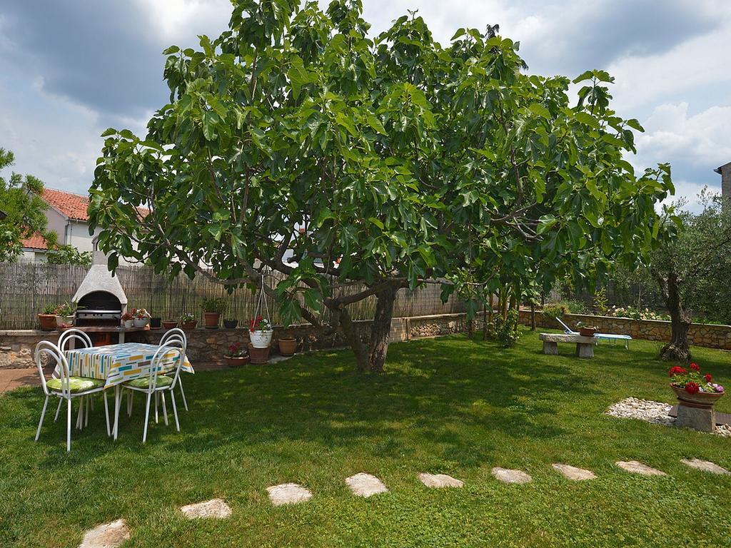 Apartment Vita Poreč Oda fotoğraf